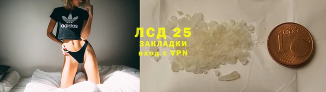 ГАЛЛЮЦИНОГЕННЫЕ ГРИБЫ Алексин
