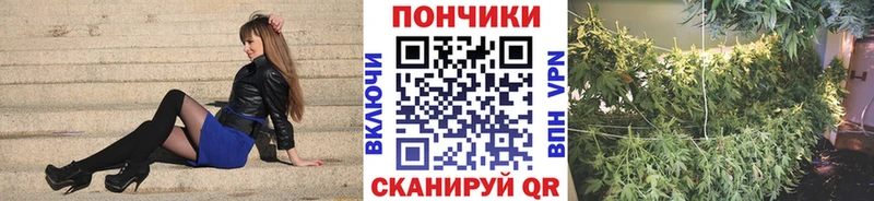 Канабис ГИДРОПОН  ОМГ ОМГ ССЫЛКА  Омутнинск 